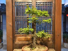 -不倒翁·徽天下名菜楼(马鞍山路店)