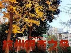 -领克中心(杭州凌客店)