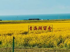 -青海湖国家重点风景名胜区