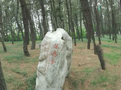 -山东大学(威海校区)