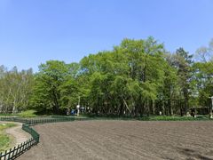 -黑龙江省森林植物园