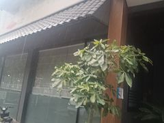 -贺庄·活鱼馆(珠吉路店)