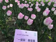 -国家植物园