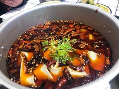 -晓彭肥肠鸡·泡椒鸡火锅(水木天地店)