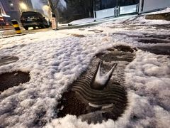 -龙塔