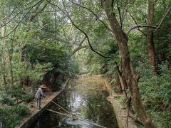 -紫霞湖公园