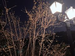 -上海虹桥迎宾馆