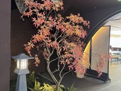 -椿杨樘·明康泡浴养生馆(重庆店)