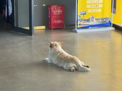 -赛卡联盟WSK卡丁车俱乐部