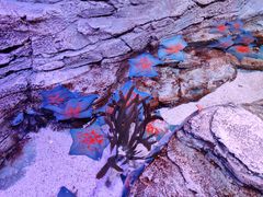 -沈阳海洋探索中心