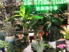 -原味田园·客家菜·土窑鸡(中航城君尚购物中心店)