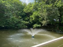 -芭厘农庄老字号·清远鸡