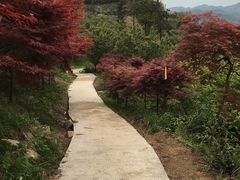 -四明山国家森林公园