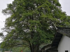-毛泽东同志旧居