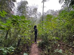 -上海佘山国家森林公园天马山园