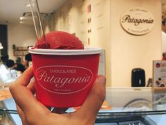 树莓冰激凌-Patagonia Chocolates(皇后镇店)