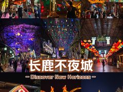 -长鹿旅游休博园