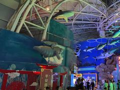 -烟台海昌鲸鲨海洋公园