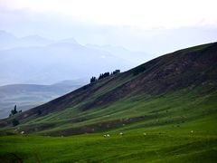 -新疆那拉提国家旅游度假区