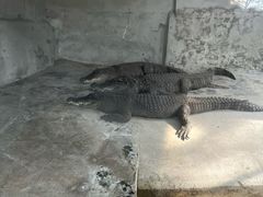 -昆明动物园