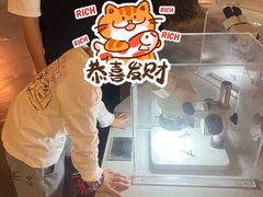 -陕西自然博物馆