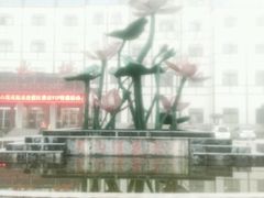 -灵山莲花公园-温泉度假区