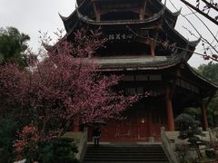 -成都杜甫草堂博物馆