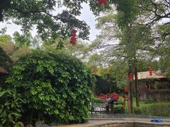 -森波拉火山温泉