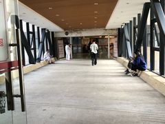 -广州中医药大学第一附属医院(总院)