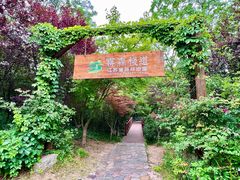 -江苏三台山国家森林公园