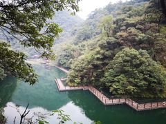 -祁门牯牛降观音堂风景区
