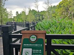 -海珠湖公园