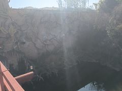 -世界恐龙谷景区