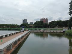 -顺峰山公园