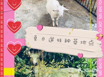 夏日遛娃宝藏地点|带孩子体验农耕的文化和乐趣吧