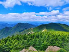 -白草畔自然风景区