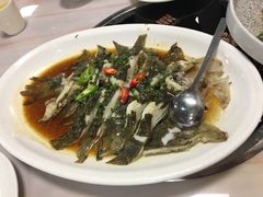 -金碧轩粤菜海鲜大酒楼