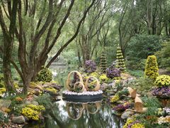 -上海共青森林公园