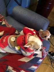 -椿树下·Tattoo纹身工作室