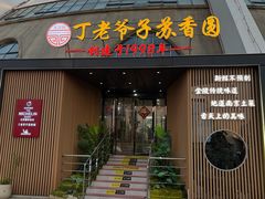 -丁老爷子苏香圆