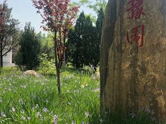 -武清南湖绿博园