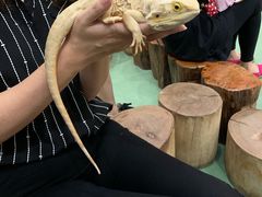 -藦茜花园宠物主题亲子互动体验馆(国顺东路店)