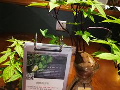 -十二舍·湯物素煮(江泰潤政店)