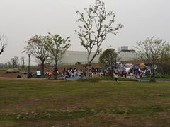 -九龙湖公园