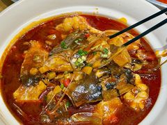 -龚兴城鱼羊吉·家传湖北菜(苗栗路总店)