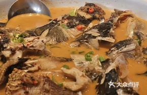 Peach Blossom Mandarin Fish