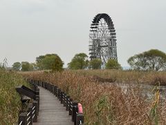-苏州太湖湖滨国家湿地公园