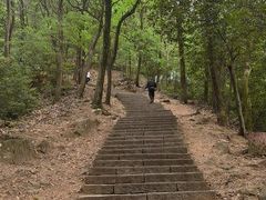 -灵顺寺