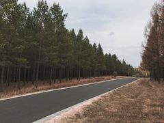 -塞罕坝国家级自然保护区