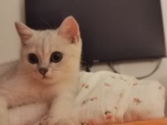 -联合动物医院(光谷诊疗中心)